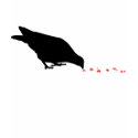 pecking order. blackbird & red hearts. t-shirts by asyrum pecking order. blackbird & red hearts. t-shirts