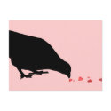 pecking order. postcards by asyrum pecking order. postcards