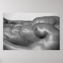 Pecs & Abs Poster