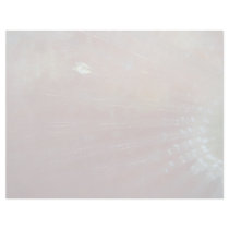 Pectoral fin of the redband parrotfish letterhead template