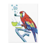 Peculiar Parrot Post Card