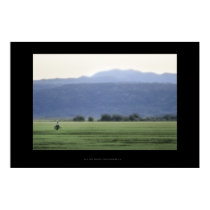 Pedaling in Africa posters