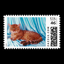 Pedigree Cats 10 postage by mickeyelvis128 Pedigree Cats 10 postage