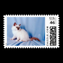 Pedigree Cats 11 postage by mickeyelvis128 Pedigree Cats 11 postage