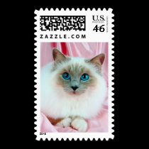 Pedigree Cats 12 postage by mickeyelvis128 Pedigree Cats 12 postage
