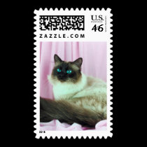 Pedigree Cats 13 postage by mickeyelvis128 Pedigree Cats 13 postage