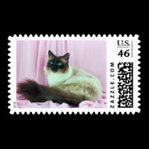 Pedigree Cats 13A postage by mickeyelvis128 Pedigree Cats 13A postage