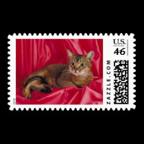 Pedigree Cats 14 postage by mickeyelvis128 Pedigree Cats 14 postage
