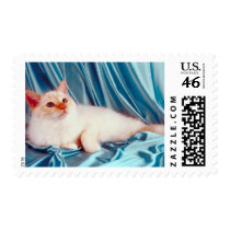 Pedigree Cats 16 postage