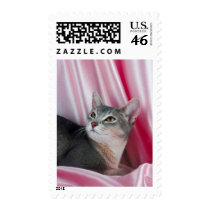 Pedigree Cats 2 postage
