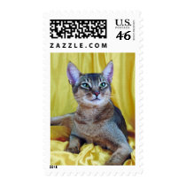 Pedigree Cats 3 postage