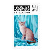 Pedigree Cats 4 postage