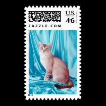 Pedigree Cats 4 postage by mickeyelvis128 Pedigree Cats 4 postage