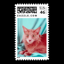 Pedigree Cats 6 postage by mickeyelvis128 Pedigree Cats 6 postage