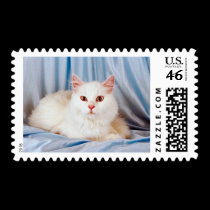 Pedigree Cats 7 postage by mickeyelvis128 Pedigree Cats 7 postage
