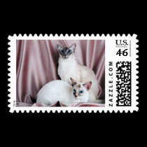 Pedigree Cats 8 postage by mickeyelvis128 Pedigree Cats 8 postage