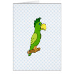 Pedro Parrot Cards