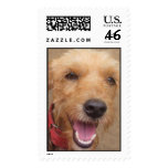 Pedro Postage Stamp