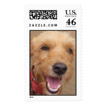 Pedro Postage Stamp