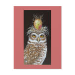 pedro, burrowing, owl, bird, cactus, owls, birds,