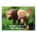 Pee on (Fill in the Blank) - Personalize Poster print