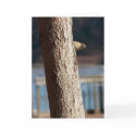 peek-a-boo birthday card