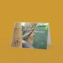 Peek-A-Boo Butterfly cards by codfishlady Peek-A-Boo Butterfly cards