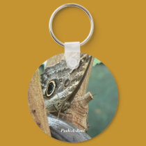 Peek-A-Boo Butterfly keychains by codfishlady Peek-A-Boo Butterfly keychains