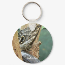 Peek-A-Boo Butterfly keychains by codfishlady Peek-A-Boo Butterfly keychains