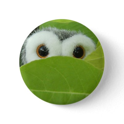 Peek-A-Boo Pinback Buttons by Heartworks