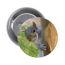 Peek-a-Boo! Button