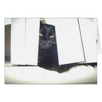 Peek-a-boo! cards by Minou1 Peek-a-boo! cards