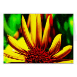 Peek A Boo! Greeting Card