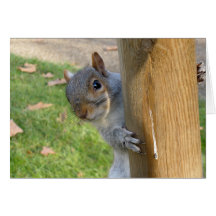 Peek-a-Boo! Card