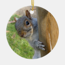 Peek-a-Boo! Christmas Ornaments
