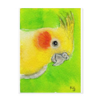 Peek-a-boo Cockatiel postcards