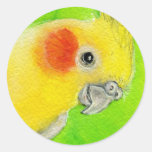 Peek-a-boo Cockatiel Stickers