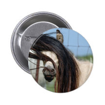 Peek-a-Boo Colt Pinback Button
