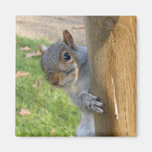 Peek-a-Boo! Fridge Magnet