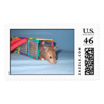Peek-a-boo Hamster postage