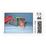 Peek-a-boo Hamster postage