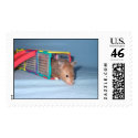 Peek-a-boo Hamster postage