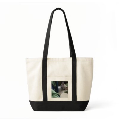Peek-A-Boo Kitten Bag by darkimagestudios