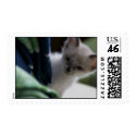 Peek-a-Boo Kitten Postage postage by darkimagestudios Peek-a-Boo Kitten Postage postage