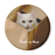 Peek-a-Boo! magnets by codfishlady Peek-a-Boo! magnets