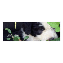 "Peek-a-Boo" - Old English Sheepdog puppies Business Card Template