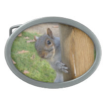 Peek-a-boo! Oval Belt Buckles