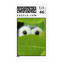 Peek-A-Boo postage