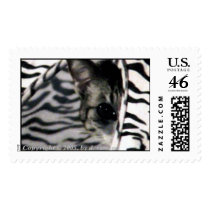 peek-a-boo postage by dramirez38 peek-a-boo postage