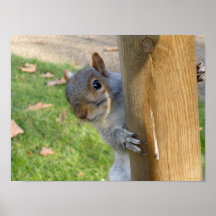 Peek-a-Boo! Posters